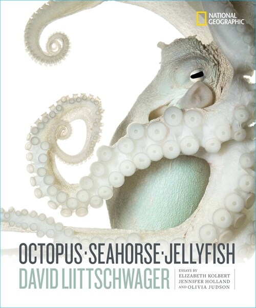 Octopus, Seahorse, Jellyfish (Hardcover)