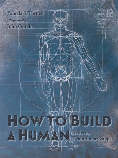 How to Build a Human: In Seven Evolutionary Steps (Hardcover)