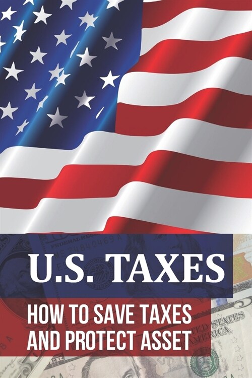 U.S. Taxes: Learn How To Save Taxes And Protect Asset: Principles Of International Taxation (Paperback)