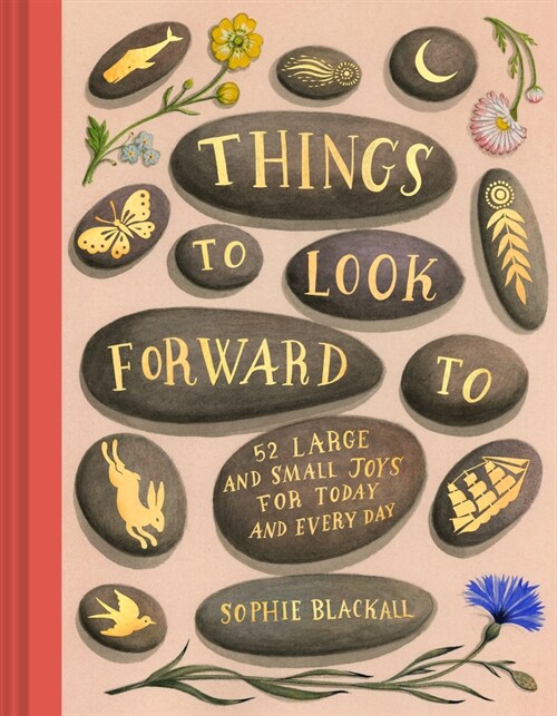 Things to Look Forward to: 52 Large and Small Joys for Today and Every Day (Hardcover)