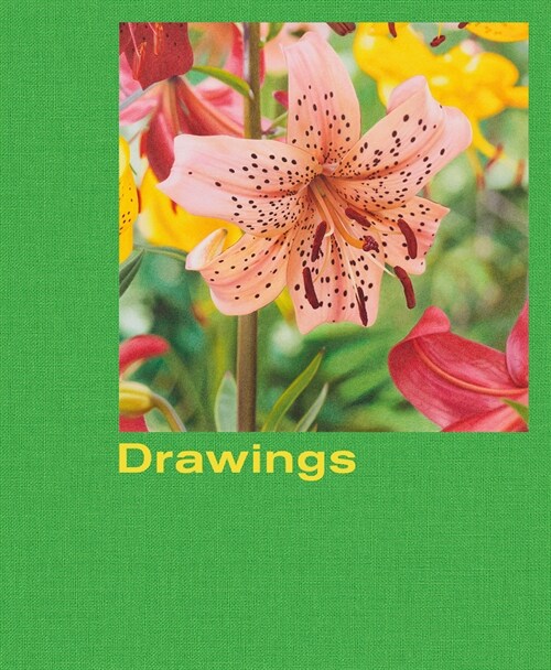 Mathew Cerletty: Drawings (Hardcover)