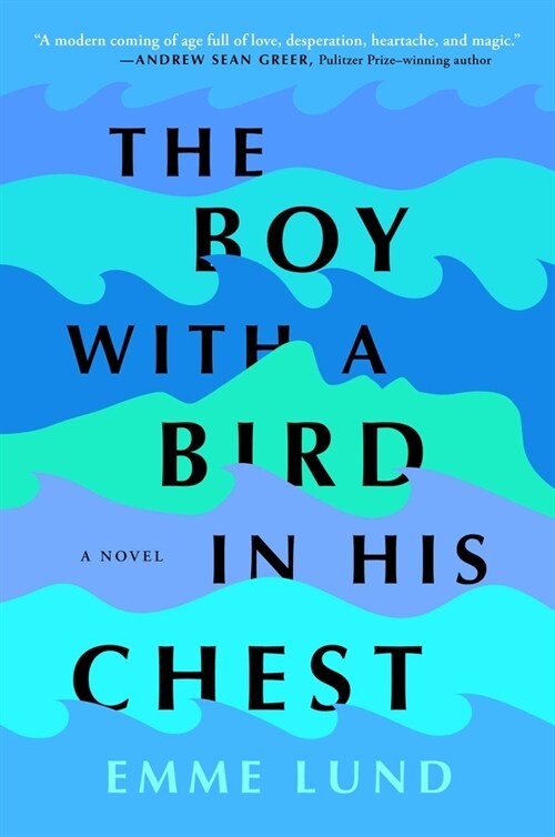 The Boy with a Bird in His Chest (Hardcover)