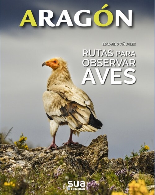 Rutas para observar Aves (Hardcover)
