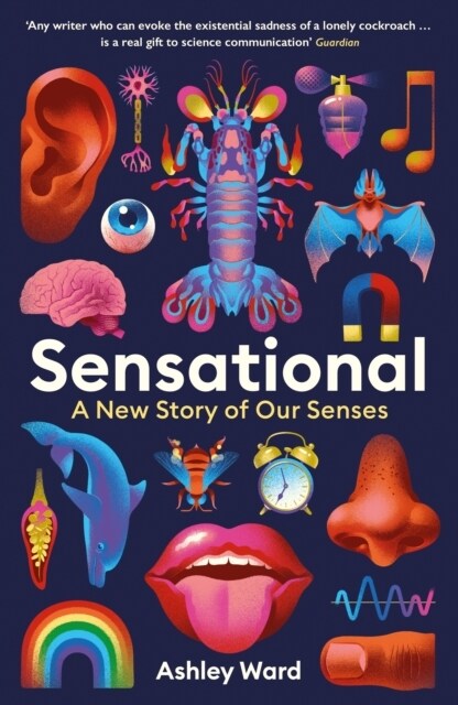 Sensational : A New Story of our Senses (Hardcover, Main)