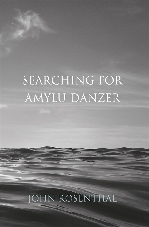 Searching for Amylu Danzer (Paperback, New ed)