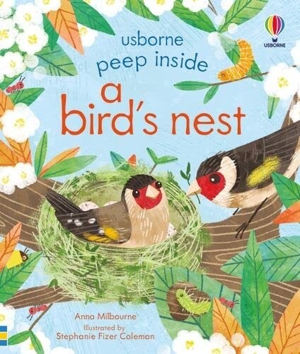 Peep Inside a Birds Nest (Board Book)