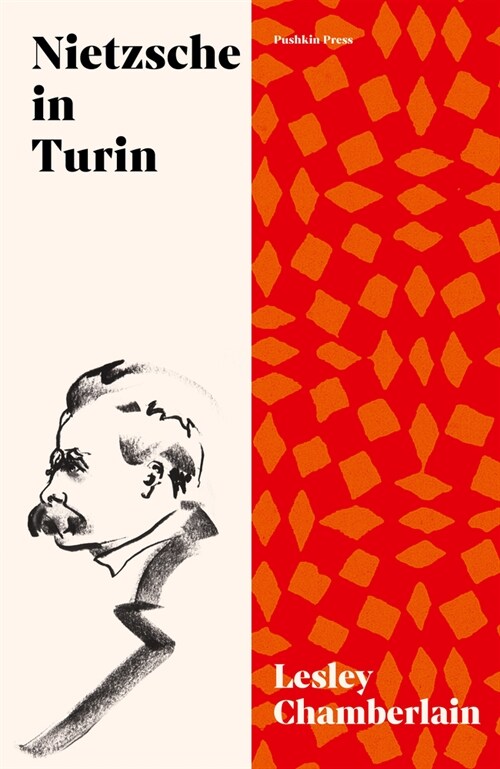 Nietzsche in Turin : The End of the Future (Paperback)