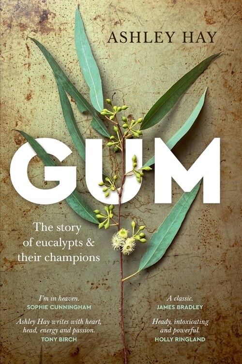 Gum: The Story of Eucalypts & Their Champions (Paperback)