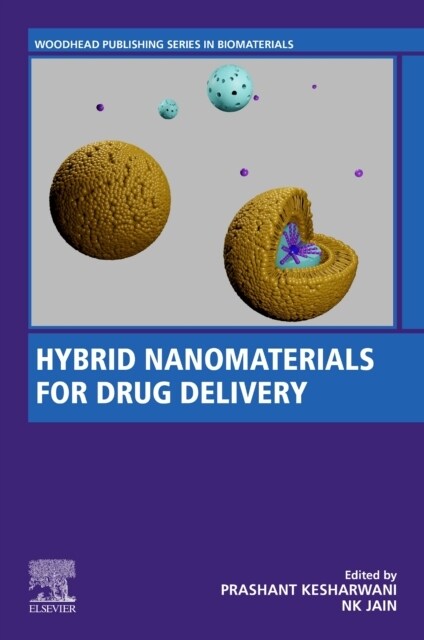 Hybrid Nanomaterials for Drug Delivery (Paperback)