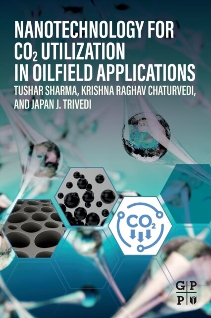 Nanotechnology for CO2 Utilization in Oilfield Applications (Paperback)