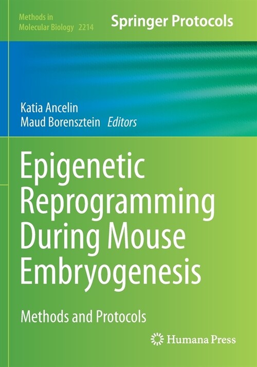 Epigenetic Reprogramming During Mouse Embryogenesis: Methods and Protocols (Paperback)