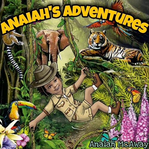 Anaiahs Adventures (Paperback)