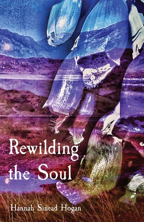 Rewilding the Soul (Paperback)