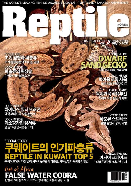 Reptile KOREA 렙타일 코리아 2021.9.10