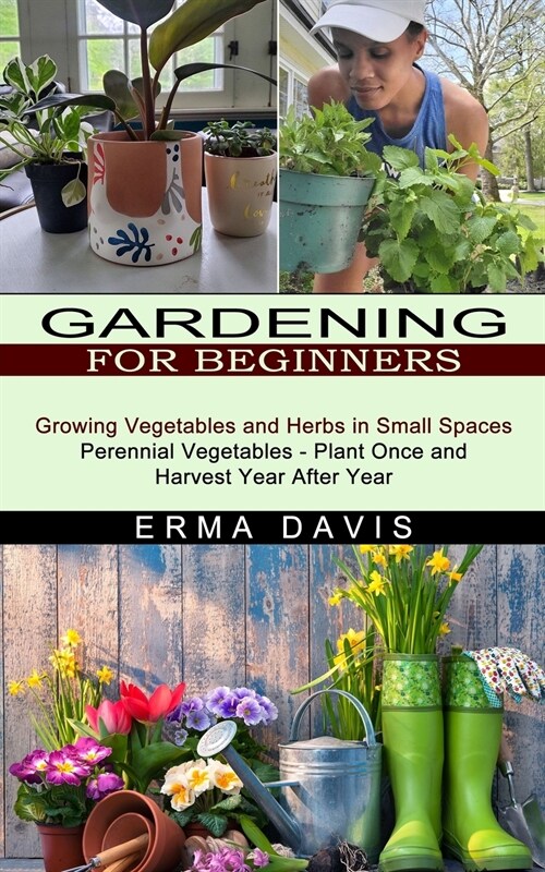 Gardening for Beginners: Growing Vegetables and Herbs in Small Spaces (Perennial Vegetables - Plant Once and Harvest Year After Year) (Paperback)