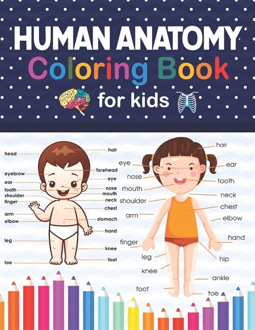 Human Anatomy Coloring Book For Kids: Human Body Anatomy Coloring Book For Kids Boys Girls & Teens. Unique and Fun Way to Learn Human Anatomy. A Great (Paperback)