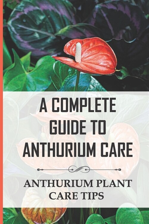 A Complete Guide to Anthurium Care: Anthurium Plant Care Tips: Anthurium Care Instructions (Paperback)