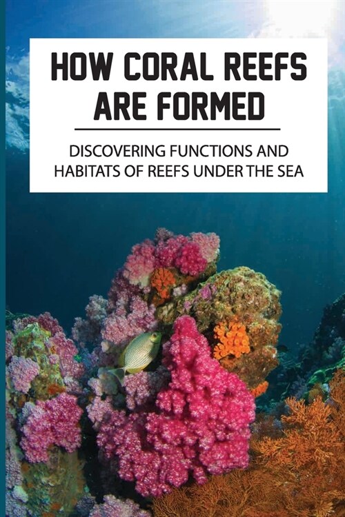 How Coral Reefs Are Formed: Discovering Functions And Habitats Of Reefs Under The Sea: Explore Coral Reefs (Paperback)