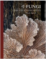 The Lives of Fungi: A Natural History of Our Planet's Decomposers (Hardcover)