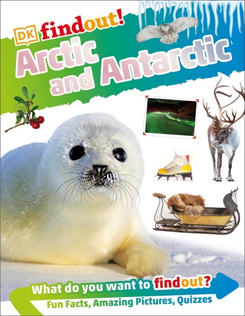 Dkfindout! Arctic and Antarctic (Paperback)