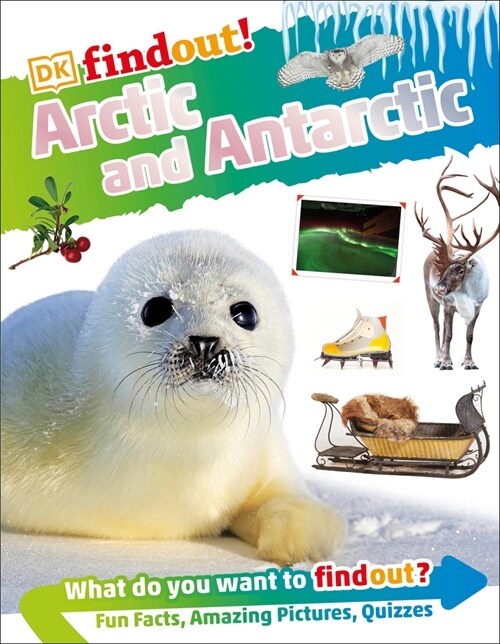 Dkfindout! Arctic and Antarctic (Hardcover)