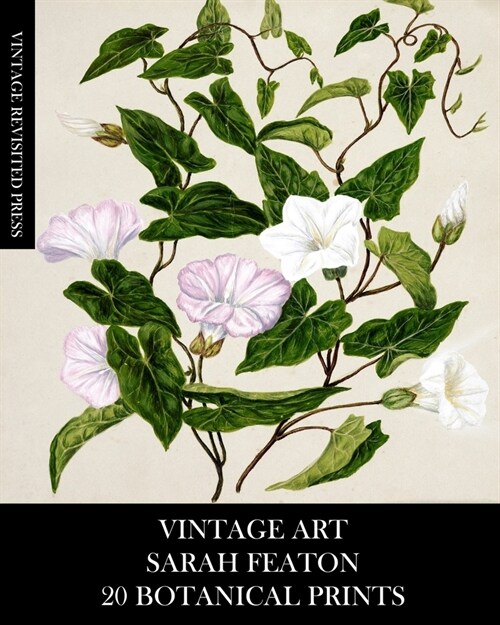 Vintage Art: Sarah Featon 20 Botanical Prints (Paperback)