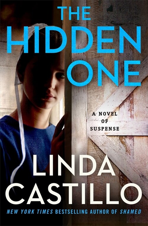 The Hidden One: A Novel of Suspense (Hardcover)