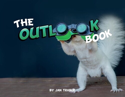 The Outlook Book (Paperback)