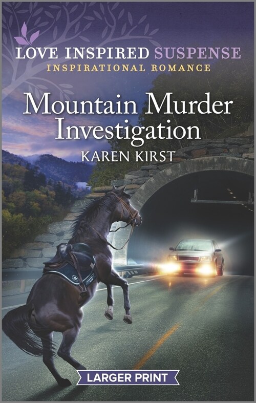 Mountain Murder Investigation (Mass Market Paperback, Original)