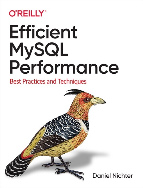 Efficient MySQL Performance: Best Practices and Techniques (Paperback)