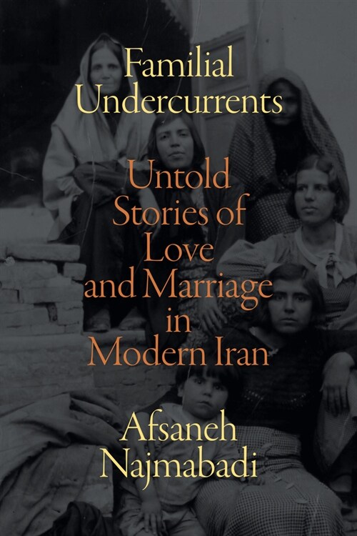 Familial Undercurrents: Untold Stories of Love and Marriage in Modern Iran (Paperback)