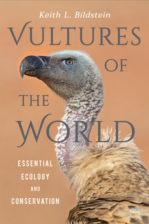 Vultures of the World: Essential Ecology and Conservation (Hardcover)