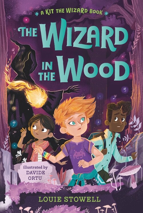 The Wizard in the Wood (Paperback)