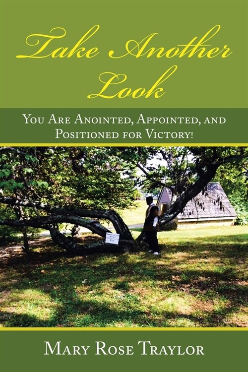 Take Another Look: You Are Anointed, Appointed, and Positioned for Victory! (Paperback)