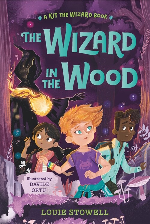 The Wizard in the Wood (Hardcover)