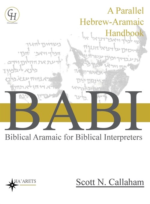 Biblical Aramaic for Biblical Interpreters: A Parallel Hebrew-Aramaic Handbook (Hardcover, Hardback)