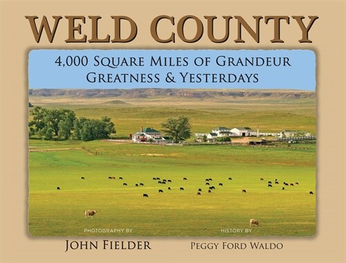 Weld County: 4,000 Square Miles of Grandeur, Greatness & Yesterdays (Hardcover)