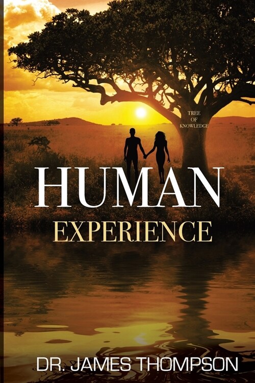 Human Experience (Paperback)