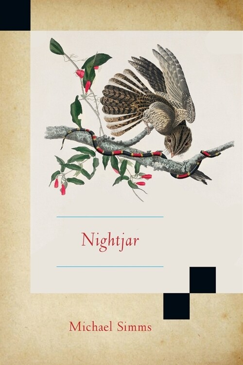 Nightjar (Paperback)