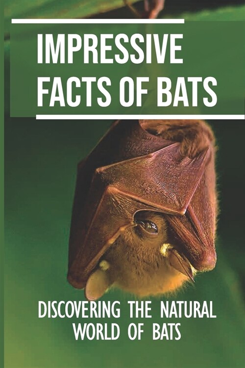 Impressive Facts Of Bats: Discovering The Natural World Of Bats: Traits Of Flying Mammal (Paperback)
