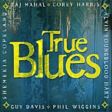 [수입] Taj Mahal, Corey Harris, Alvin Youngblood Hart, Phil Wiggins, Guy Davis, Shemekia Copeland - True Blues