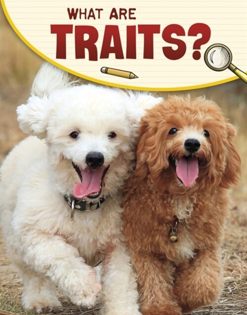 What Are Traits? (Hardcover)