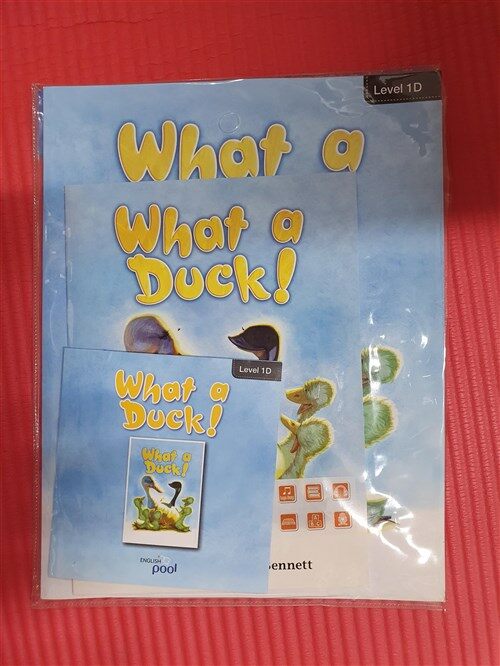 [중고] Rigby Literacy by Design: Small Book Grade 1 What a Duck! (Paperback)