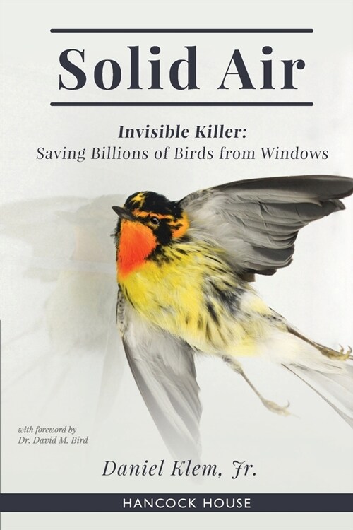 Solid Air: Invisible Killer- Saving Birds from Windows (Paperback)