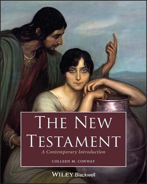 The New Testament : A Contemporary Introduction (Paperback)