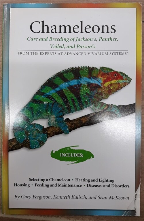 [중고] Chameleons: Care and Breeding of Jackson‘s, Panther, Veiled, and Parson‘s (Paperback)