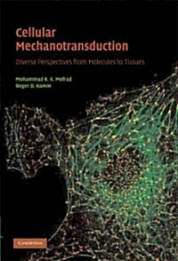 Cellular Mechanotransduction : Diverse Perspectives from Molecules to Tissues (Hardcover)