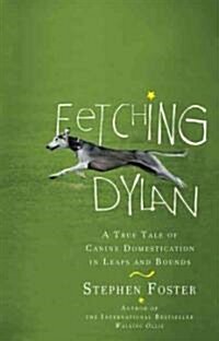 Fetching Dylan: A True Tale of Canine Domestication in Leaps and Bounds (Paperback)