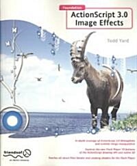 Foundation ActionScript 3.0 Image Effects (Paperback, 1st)