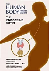 The Endocrine System (Library Binding)
